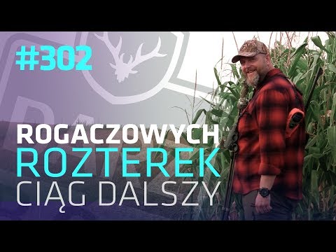 Darz Bór odc 302 - Rogaczowych rozterek ciąg dalszy..