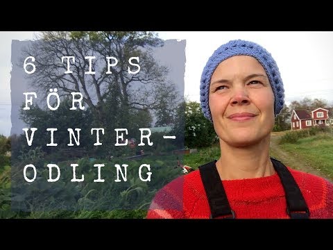 6 tips för att sköta vinterodlingen