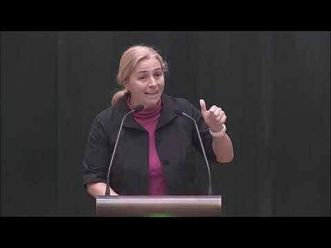 Sanz: «El aumento de la contaminación es el epitafio del nefasto Gobierno de Ahora Madrid»