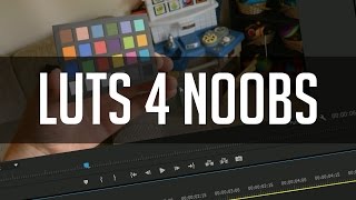 Color Grading LUTs For Noobs! - LUT Basics and Techniques