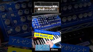 Memorymoogに近い質感のシンセ? GS MUSIC e7 Poly Analog Synth from Argentina [no talking]