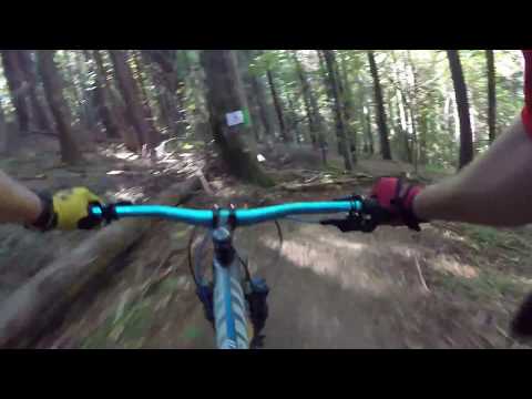 MTB Predeal traseu potecuta Taurului / Bull Singletrail