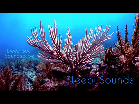 Deep Sea Soundscape – 9 hours of underwater ambience – Deep Ocean Sleep Sounds