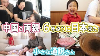 【日中夫婦】中国両親が来日｜バイリンガル｜日中ファミリー｜中日夫妻｜公公婆婆来日本了｜媳妇关系｜混血宝宝中文日语怎么样？