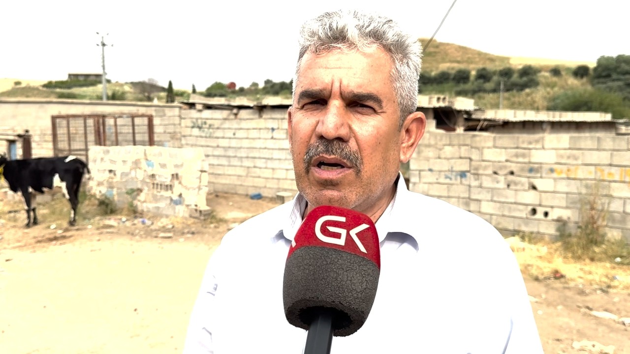 ڤیدیۆ | دیاردەیەكی نامۆ لە مەیدانی ئاژەڵانی كۆیە ئاشكرادەكرێت