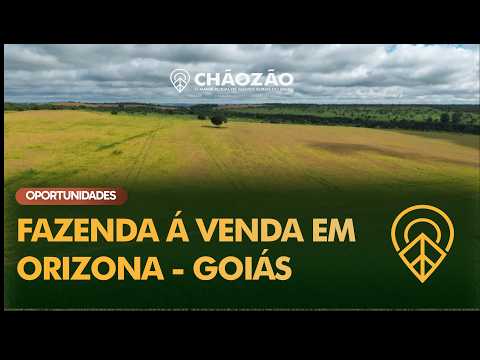 FAZENDA Á VENDA EM ORIZONA - GO