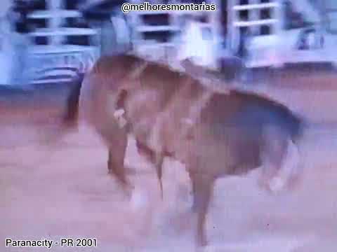 José Damião da Silva x Encapado - Rodeio de Paranacity 2001 #rodeio #cutiano