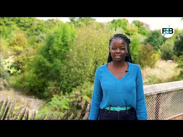 Consultation - Enjeux climatiques