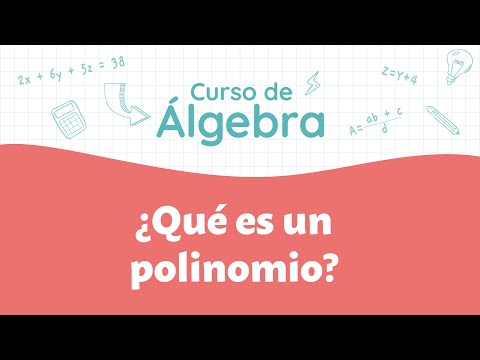 What is a polynomial? | Algebra Course