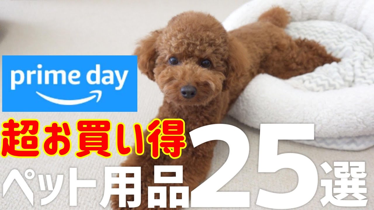 【Amazonプライムデー】爆売れ中のおすすめペット用品25選！