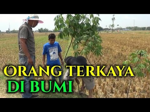 orang-terkaya-di-bumi