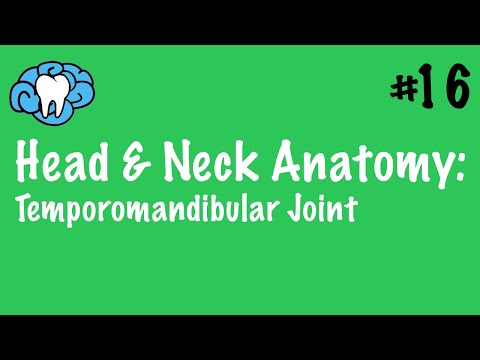 Head & Neck Anatomy | TMJ Anatomy | INBDE