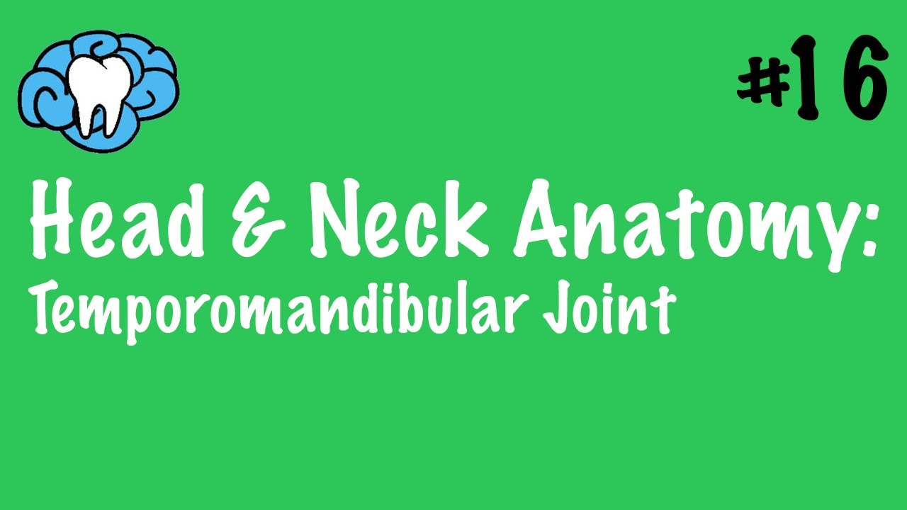 Head & Neck Anatomy | TMJ Anatomy | INBDE