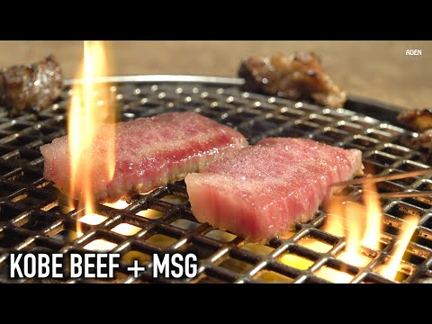 Kobe Beef BBQ in Japan - like a Steak Master
