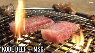 Kobe Beef BBQ in Japan - like a Steak Master