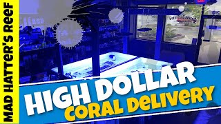 High Dollar Coral Delivery