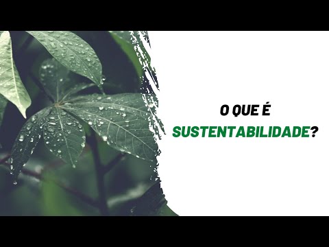 WHAT is SUSTAINABILITY?