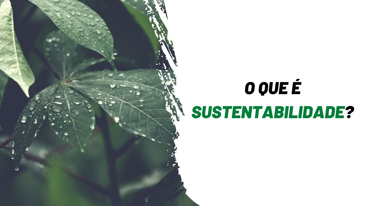 O QUE é SUSTENTABILIDADE