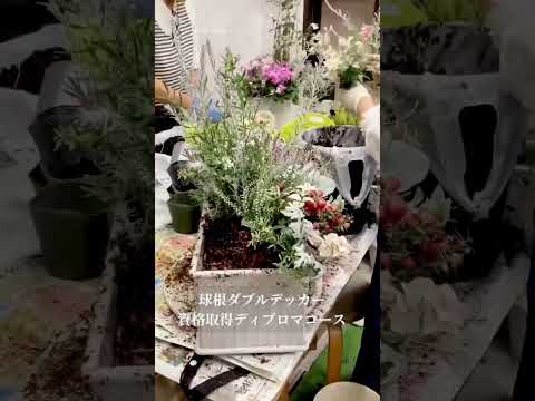  4月に植える球根：カラフルで香り豊かな庭のためのトップ10！  庭園