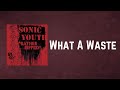 Sonic Youth - What A Waste (Lyrics)