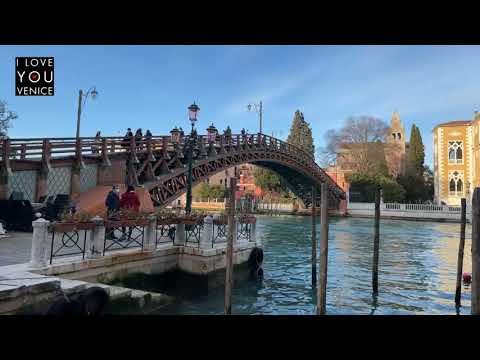 Caminhada ao vivo em Dorsoduro East