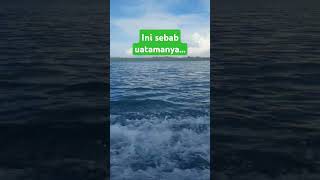 Download lagu ini sebab utamanya... #ustadzadihidayat #ustadzadihidayatofficial #motivation #taubatannasuha mp3 Download lagu ini sebab utamanya... #ustadzadihidayat #ustadzadihidayatofficial #motivation #taubatannasuha mp3