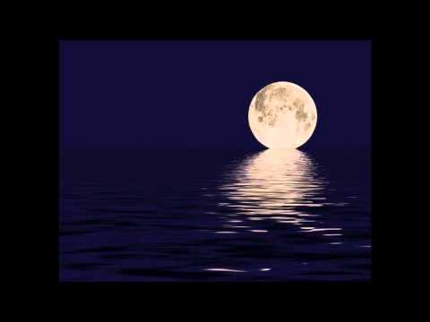Gary Moore - Picture of the Moon *coaster380*