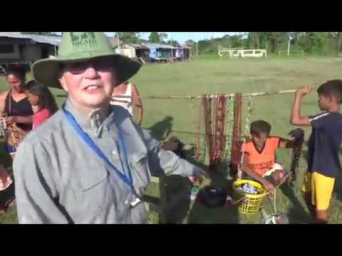 The Amazon at sunrise, midday and dusk