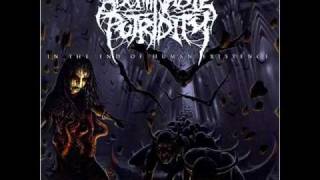In the End Of Human Existence-Abominable Putridity
