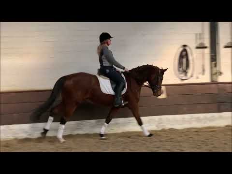 HANIELLE 9j. v. Destano - Lancelot Quainton