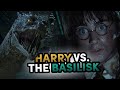 Harry Vs The Basilisk Chamber Of Secrets