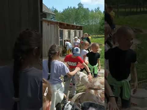 Wycieczka do gospodarstwa agroturystycznego "W międzyczasie" SP Lipiny Górne 1