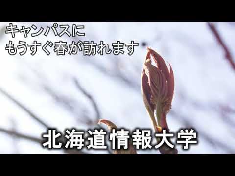 ＜2020年3月号＞HIUキャンパス便り