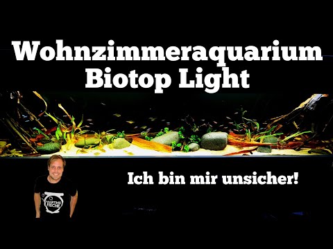WOHNZIMMERAQUARIUM NEUGESTALTUNG - Überlegungen zu Raumteilern