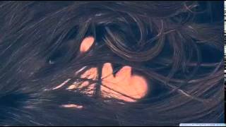 Sunday Girl - Where Is My Mind