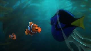 Nemo Gets Hurt  Dory Tries to Find Help But Gets CaughtFinding Dory Scene 13