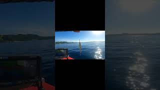 ナカマYouTubeチャンネルのテーマソング　short #釣り #fishing #二馬力ボート  #沖縄