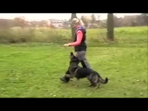 Cassiopea Yucero Bohemia - Obedience 11/2010