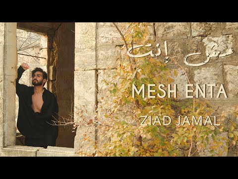 مش انت زياد جمال