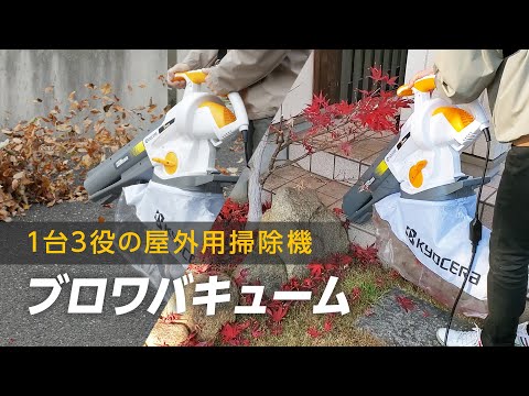 掃除機または葉っぱブロワーの長所と短所を知って選択について考える