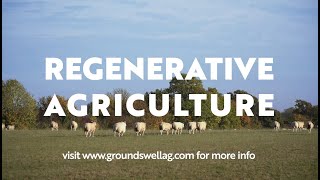 Farmers are changing the world with REGENERATIVE AGRICULTURE - Groundswell Short Film