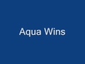 Mortal Kombat Trilogy Aqua Wins