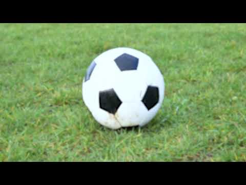 What a Shot....to Your Ears | Noise Hazards