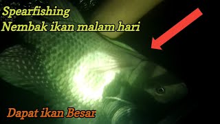 Download lagu Spearfishing-Nembak ikan Nila Dapat Babon mp3