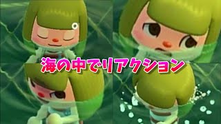 【あつ森】海でリアクションしたらヤバかった！！【あつまれどうぶつの森】【Animal Crossing】【素潜り・マリンスーツ】