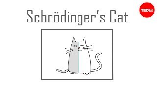 Schrödingers cat: A thought experiment in quantum