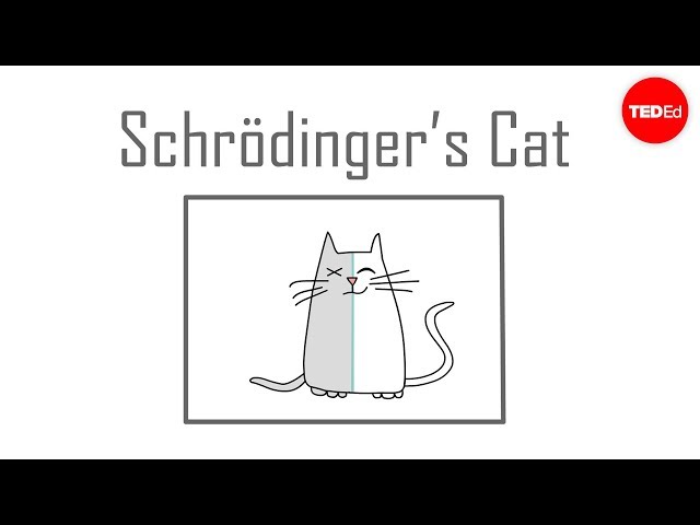 Videouttalande av Schrödinger Engelska