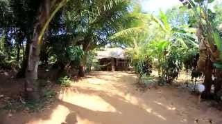 preview picture of video 'Jungle Cafe, Om beach, Gokarna, India'