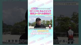 ヴィクトリアマイル GⅠ トレセン直撃取材！ #競馬 #ヴィクトリアマイル #カムニャック #友道康夫 調教師