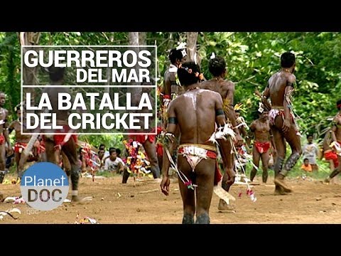 La Batalla del Cricket. Guerreros del Mar | Tribus y Etnias - Planet Doc